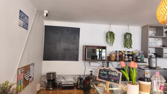 Barra de Yummy con la pizarra «Qué gusto tenerte aquí», tulipanes, frascos de insumos y plantas colgantes